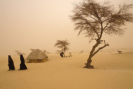 马里,靠近,柏柏尔人,露营,灰尘,风暴,边缘,撒哈拉沙漠