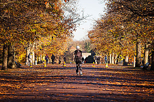滑旱冰,秋色,格林威治公园,格林威治,伦敦,英格兰,英国