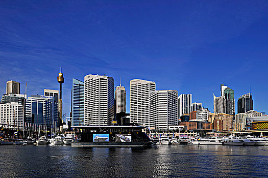 风景,港口,悉尼,塔,天际线,中心,商务,地区,新南威尔士,澳大利亚