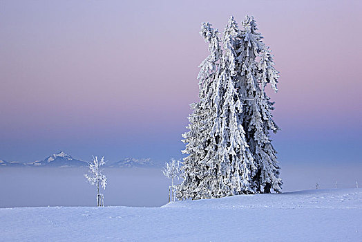 德国,巴伐利亚,东方,冬季风景
