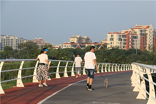 清晨里的海边凉爽宜人,市民悠闲自得散步