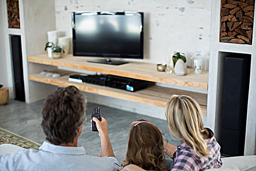 家庭,看电视,客厅,后视图,在家