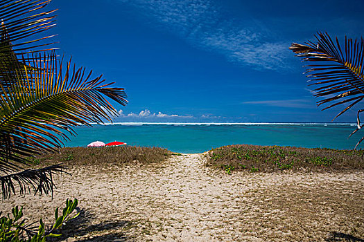 风景,海滩,印度洋,留尼汪岛