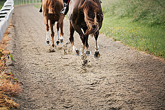 两个,马,骑手,小路,比赛,相互,训练,赛马