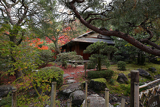 日本京都知恩院