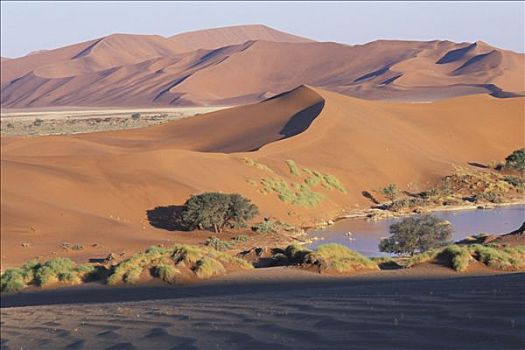 纳米比亚,纳米布沙漠,索苏维来地区,国家公园,全景,沙丘,自然,盆地,满,水