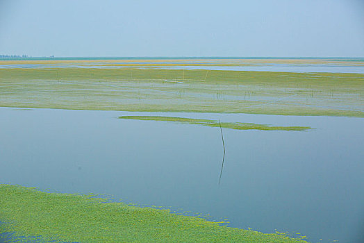 水面,水,俯视