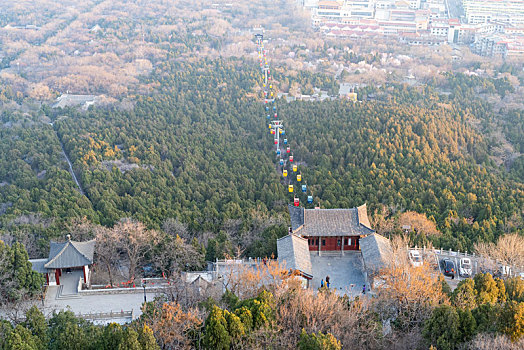 千佛山桃花