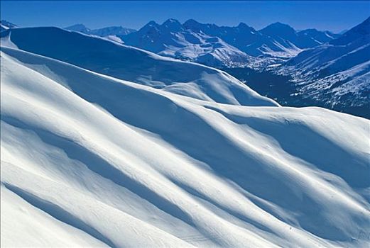 雪,图案,楚加奇州立公园,冬天,景色