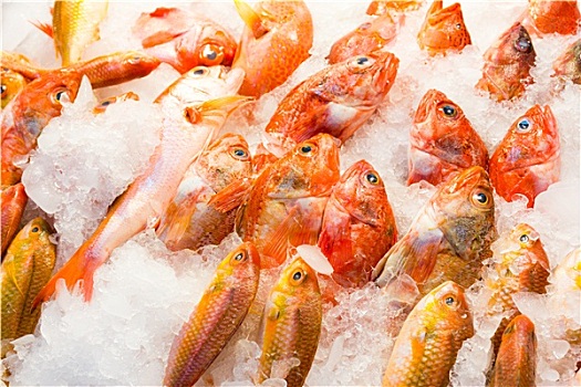 鲜鱼,湿,市场