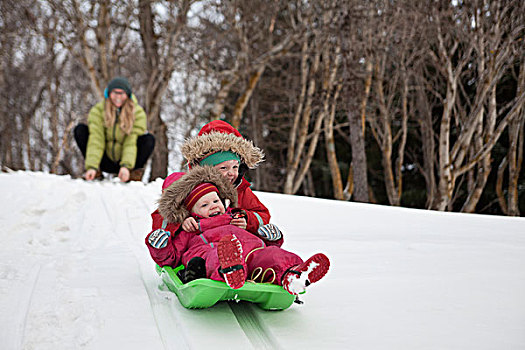 母亲,看,两个,孩子,女儿,滑雪橇,雪中