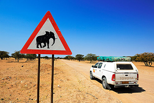 专注,大象,标识,杜维尔方丹,达马拉兰,纳米比亚,非洲