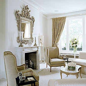 优雅,传统,客厅,扶手椅,茶几,正面,打开,壁炉