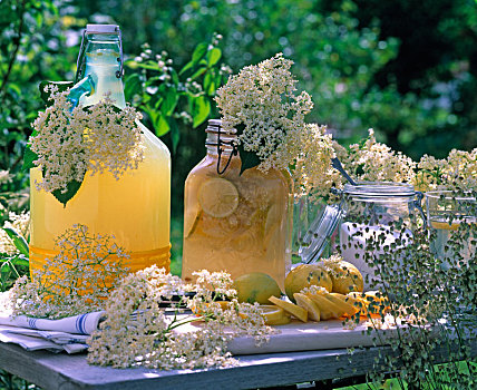 接骨木,柠檬水,瓶子,花,柑橘