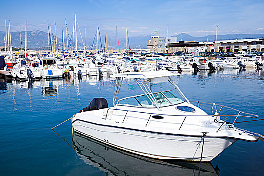 白色,高兴,摩托艇,漂浮,停泊,码头,阿雅克肖,科西嘉岛,岛屿,法国