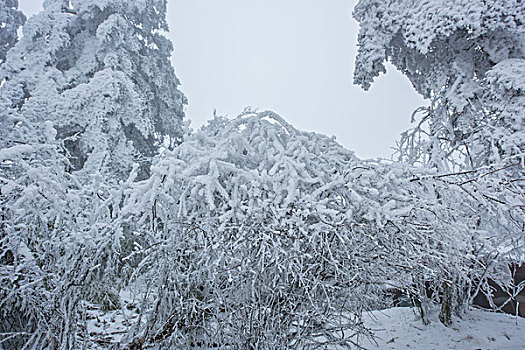 峨眉山雪景