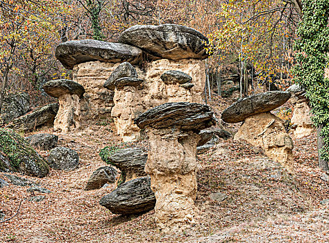 石头,蘑菇,意大利,欧洲