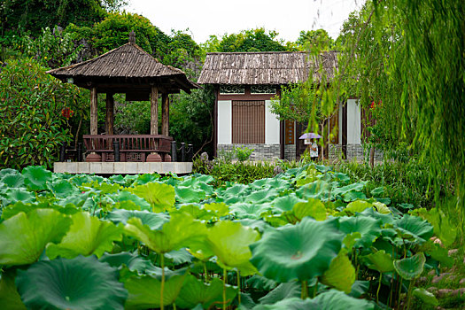 惠州西湖风景区的丰渚园风光