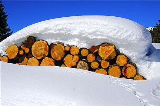 林业,切削,原木,粗厚,覆雪,瑞士