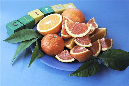 种类,柑橘,楔形
