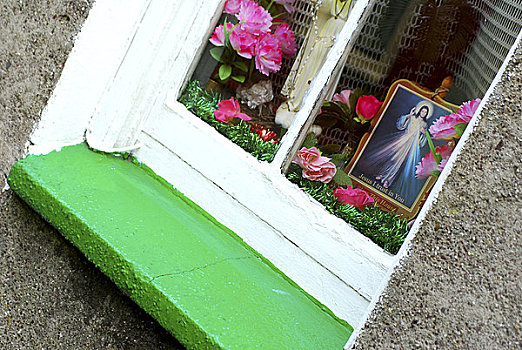 爱尔兰,科克郡,中心,科克市,花,窗户,家
