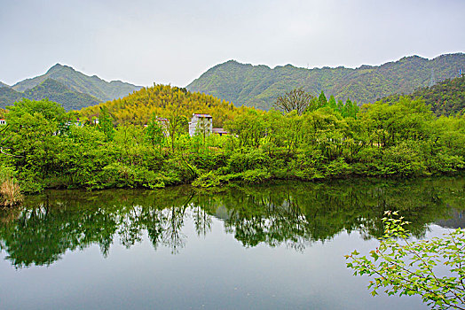 浙江,台州,天台县,龙溪乡,乡村,湿地,山水,小溪,绿色,树木