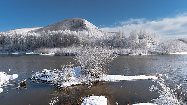 伊春小兴安岭落叶松大雪