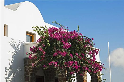 花,入口,建筑,希腊