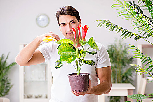 男人,照顾,植物,在家