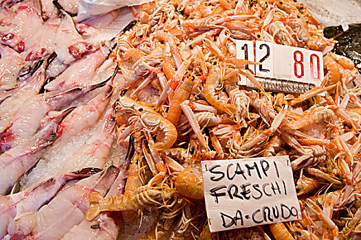意大利,威尼斯,清新,挪威海蛰虾,鱼,出售,市场