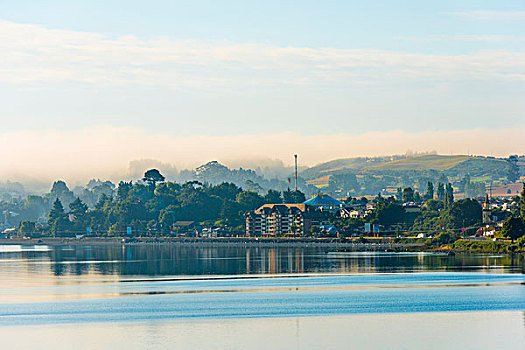 早晨雾,在,特价,海岸的,湖延基韦,拉各斯地区,智利