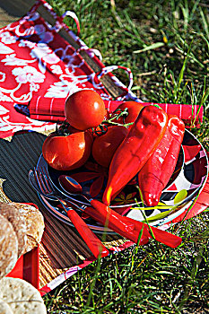 西红柿,胡椒,餐具,盘子,野餐,地毯