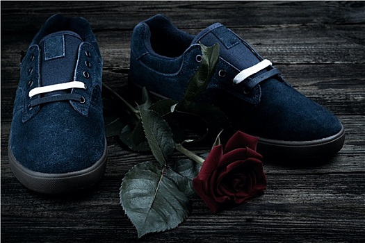 深蓝,男人,鞋,玫瑰
