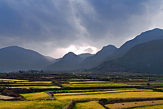 田园景观