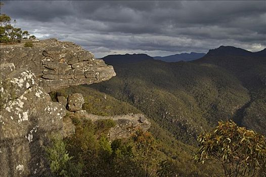 悬崖,露台,格兰扁,国家公园,维多利亚,澳大利亚