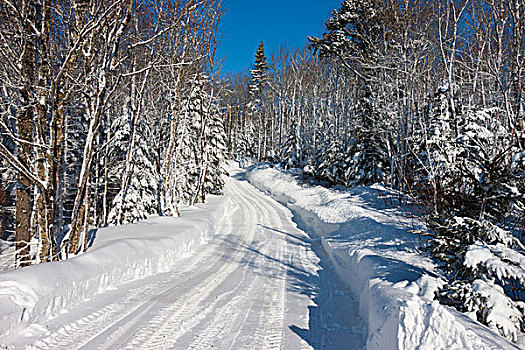 积雪,道路,水塘,爱德华王子岛,加拿大