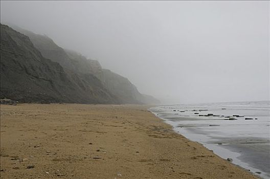 侏罗纪海岸,悬崖,靠近,东方,德文郡,海岸,英格兰