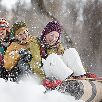 三个孩子,坐,雪橇,滑动,雪,斜坡