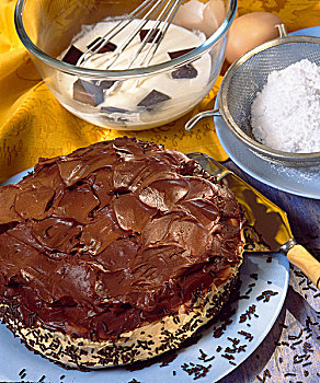 黑巧克力,奶油,桑巴舞,蛋糕