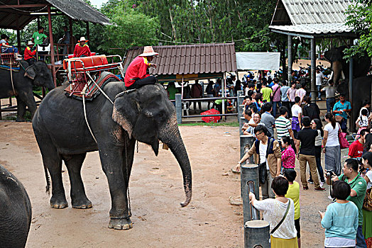 泰国暹罗大象广场