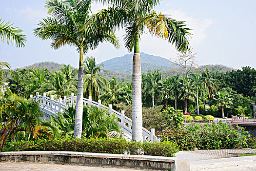 热带公园