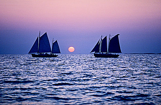 帆船,日落,维多利亚,爱德华王子岛,加拿大