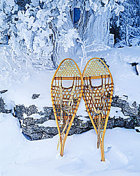 雪鞋,布鲁斯半岛国家公园,安大略省,加拿大