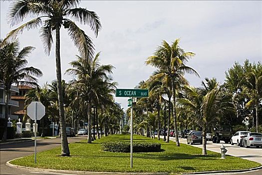 棕榈树,公园,湖,价值,棕榈海滩,佛罗里达,美国