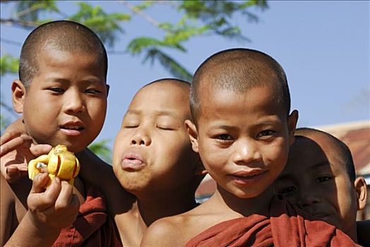 孩子,僧侣,玩,茵莱湖,缅甸,东南亚