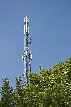佛山顺德确诊478例基孔肯雅热病例 泛起这些症状要实时就医