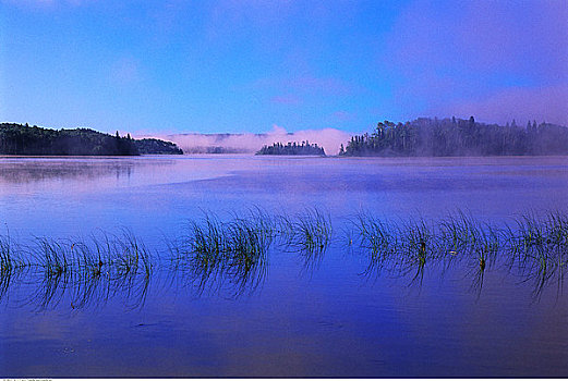 白色,湖,北方,苏必利尔湖,安大略省,加拿大