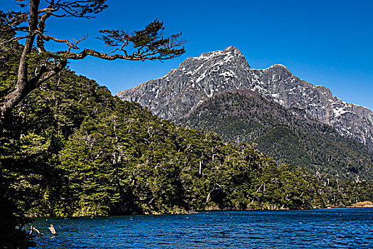 风景,湖,山,纳韦尔瓦皮,国家公园,阿根廷