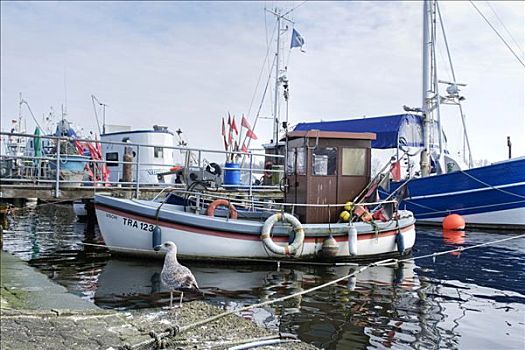 渔船,港口,石荷州,德国