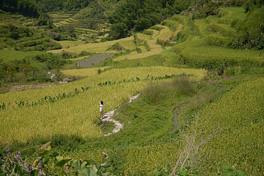 武夷山水